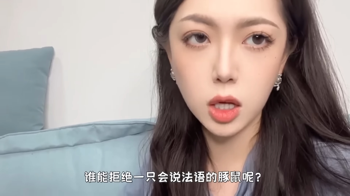 猫一杯直接“撞枪口”