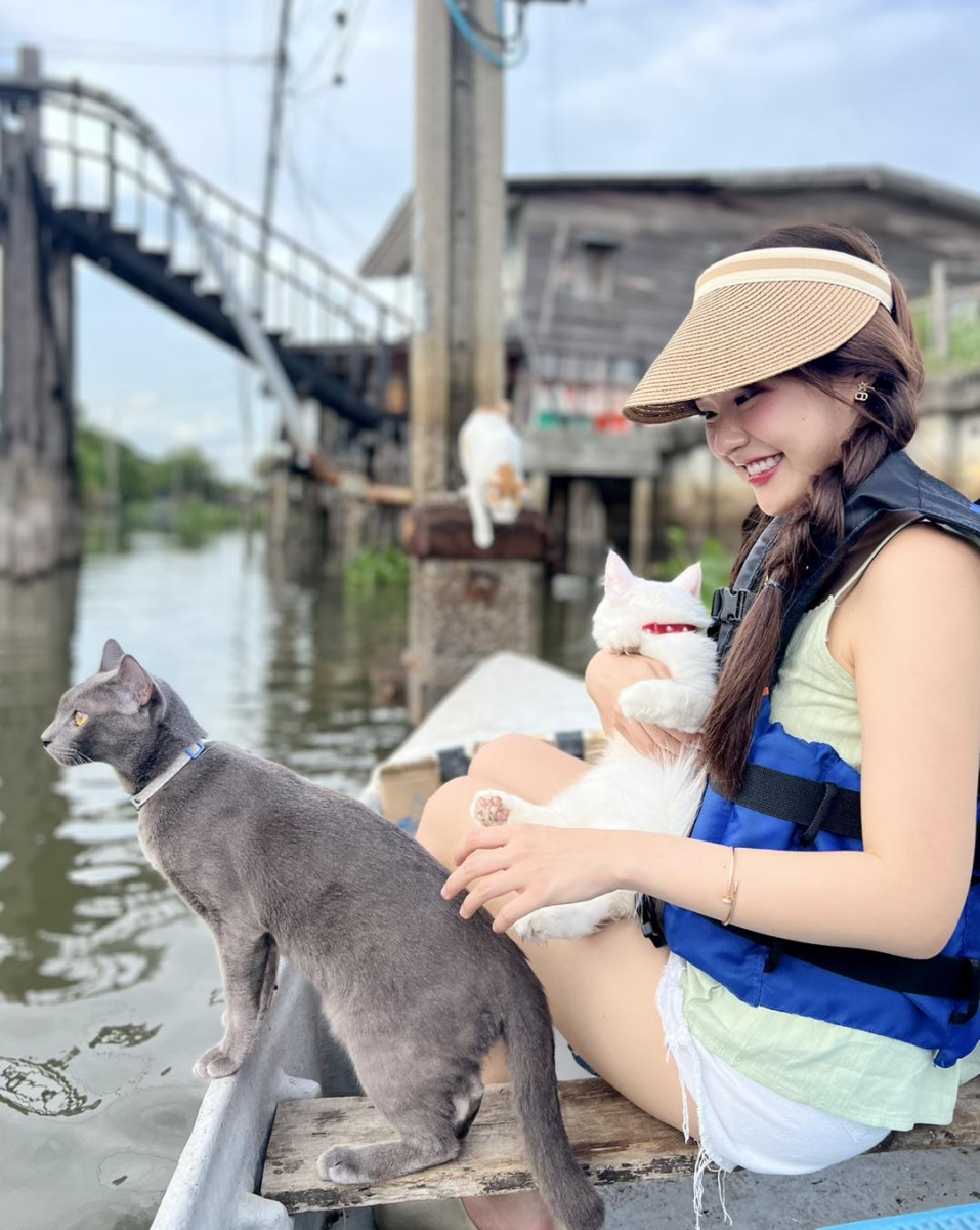 「猫猫船」要提前预约哦!