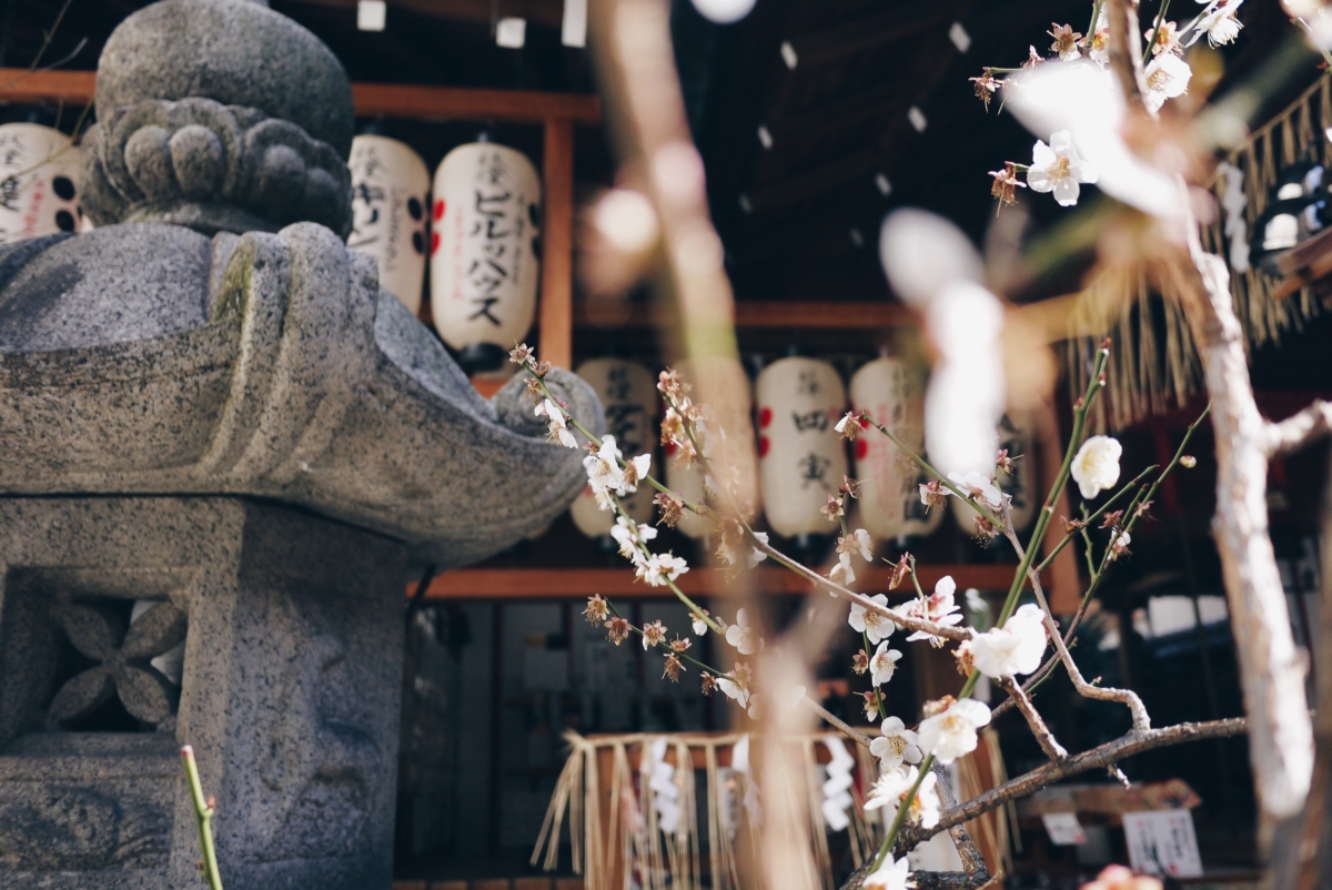 异世界的入口?隐藏于京都商店街的神社