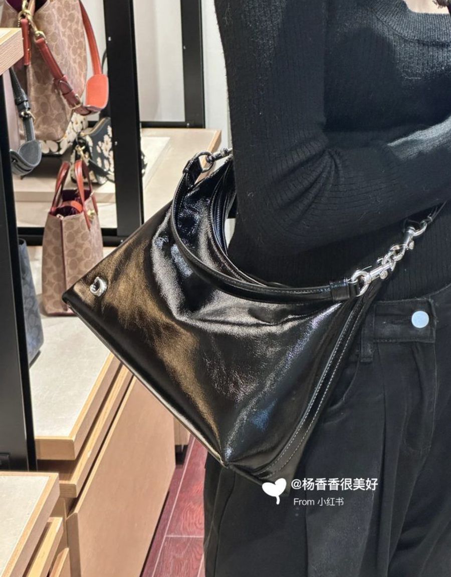 Coach 春夏包款四、牛皮腋下包