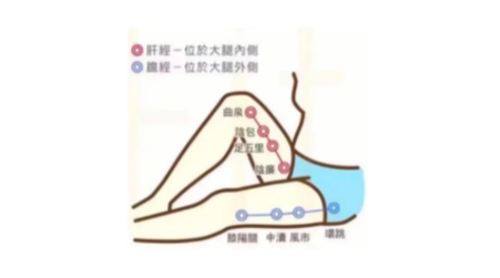 快速瘦腿小窍门二、洗澡后敲大腿