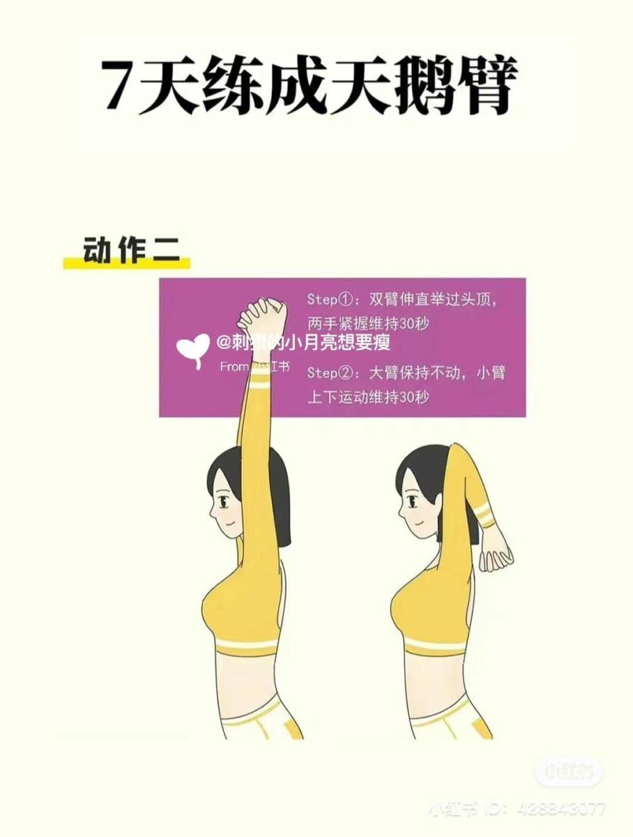手臂屈伸