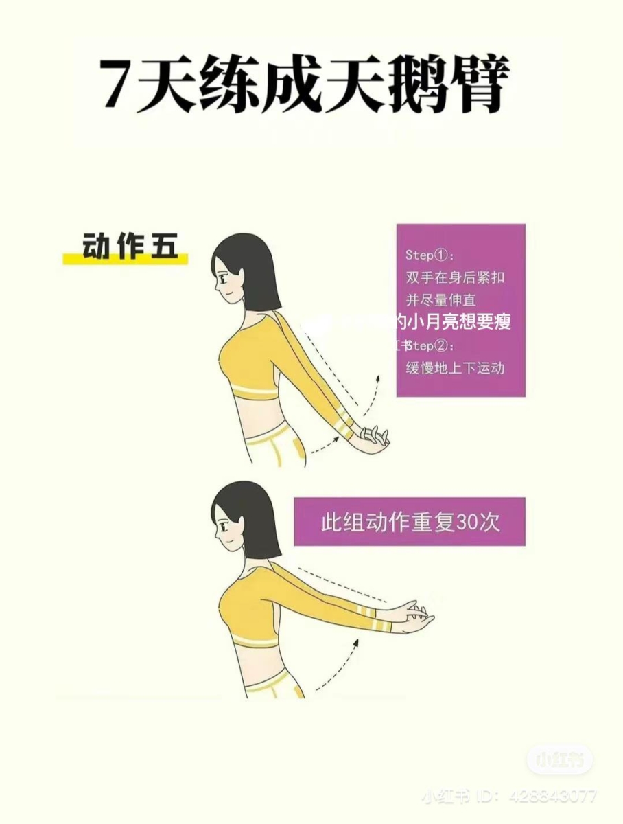 背部拉伸