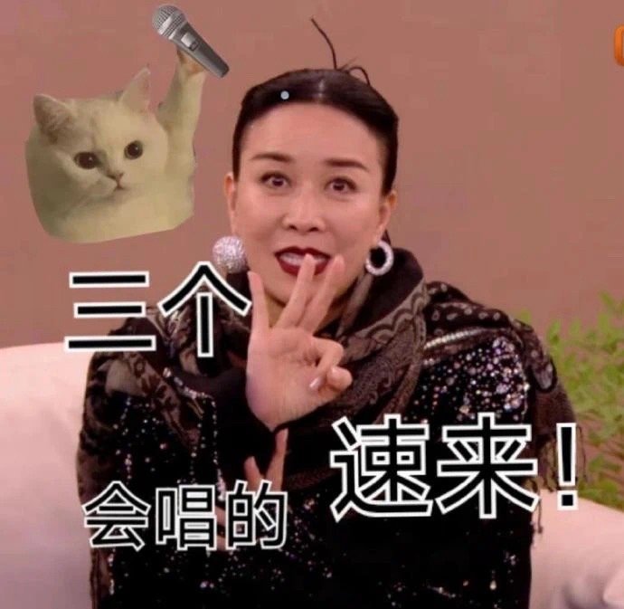 《歌手2024》那英梗图