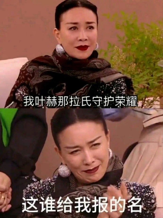 《歌手2024》那英梗图