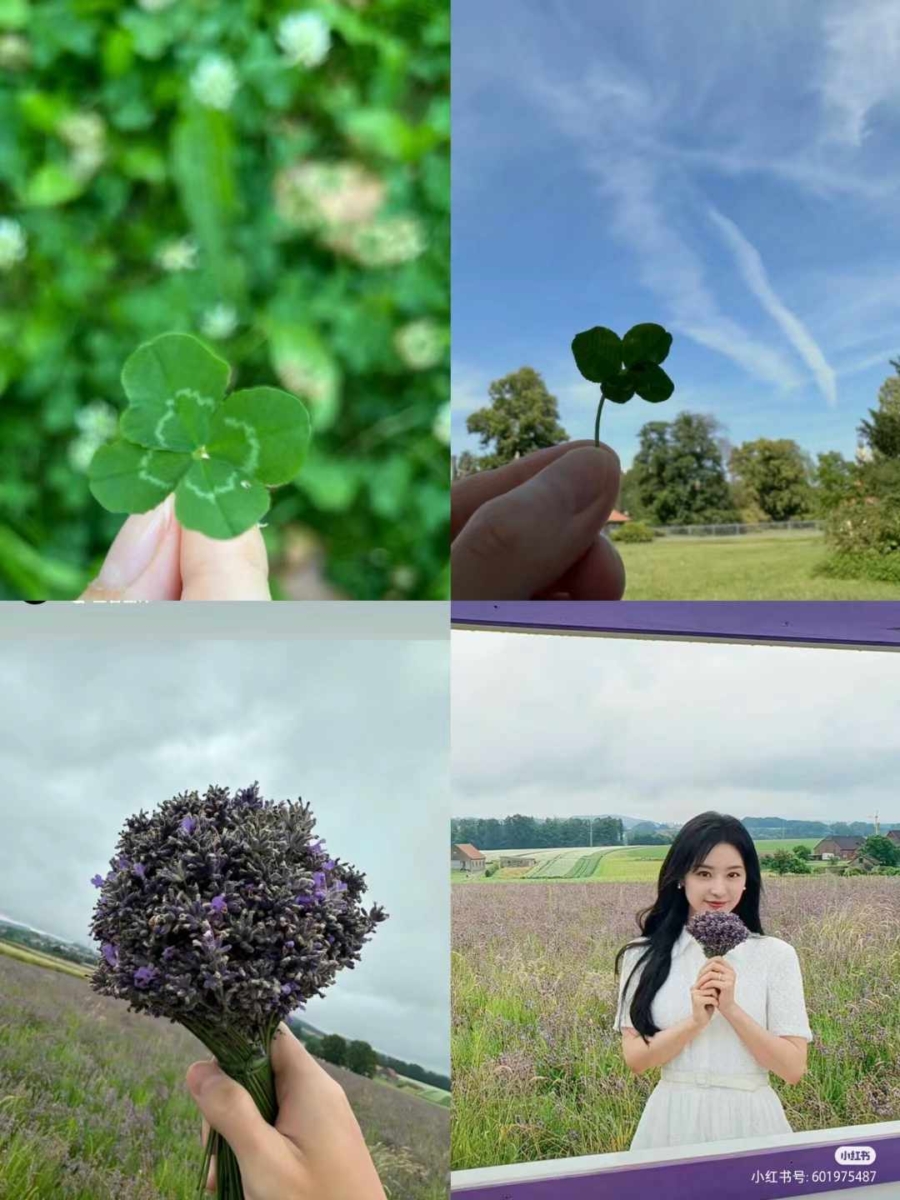 INS照一直在彼此“隔空呼应”～