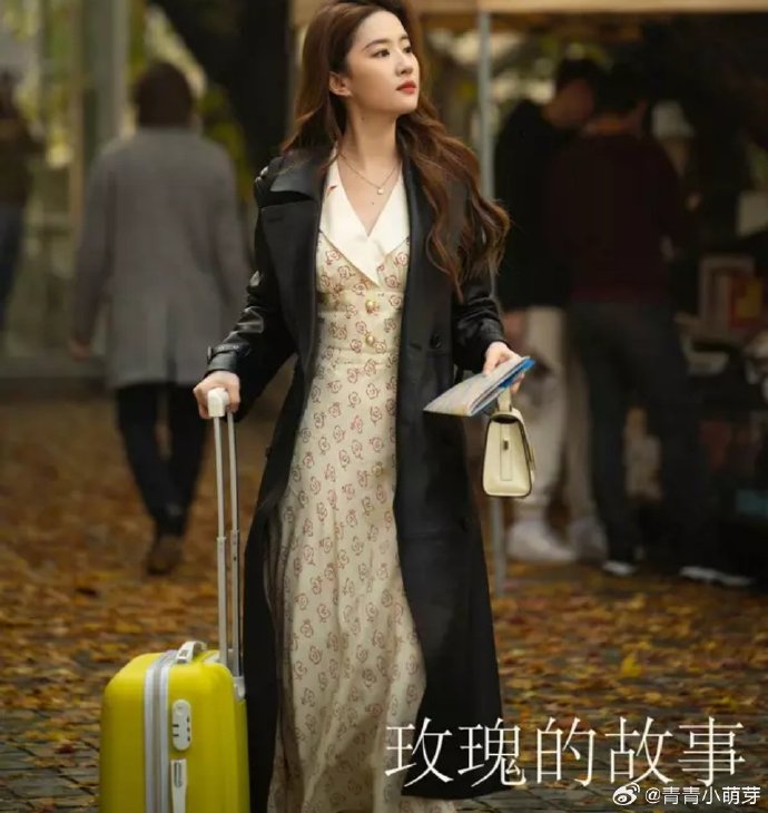 《玫瑰的故事》