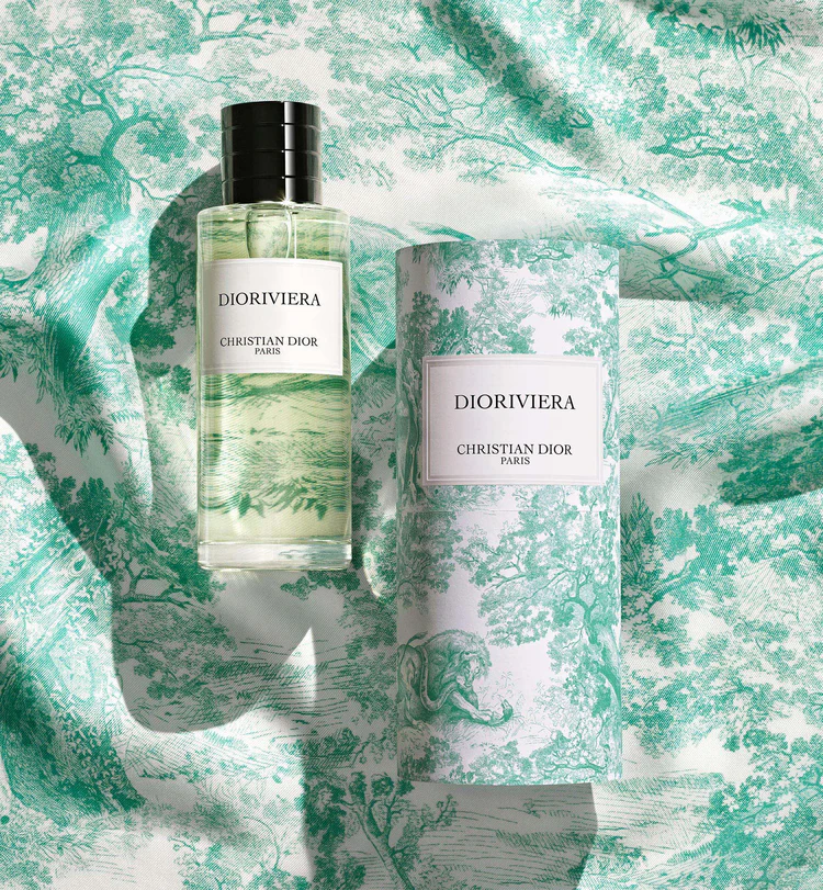 不管是哪一款都能让你尽情享受夏日风情的面貌