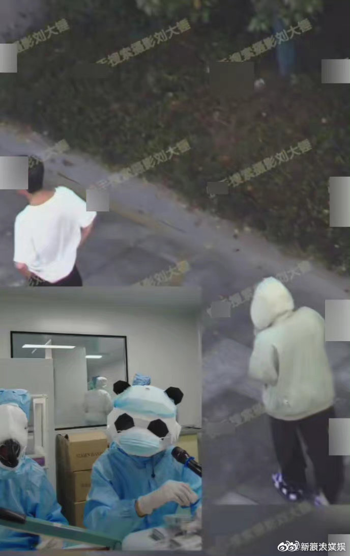 狗仔拍到白鹿前往张凌赫家过夜