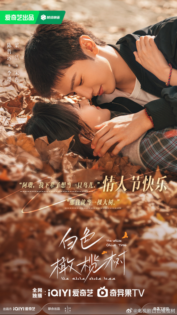 《白色橄榄树》