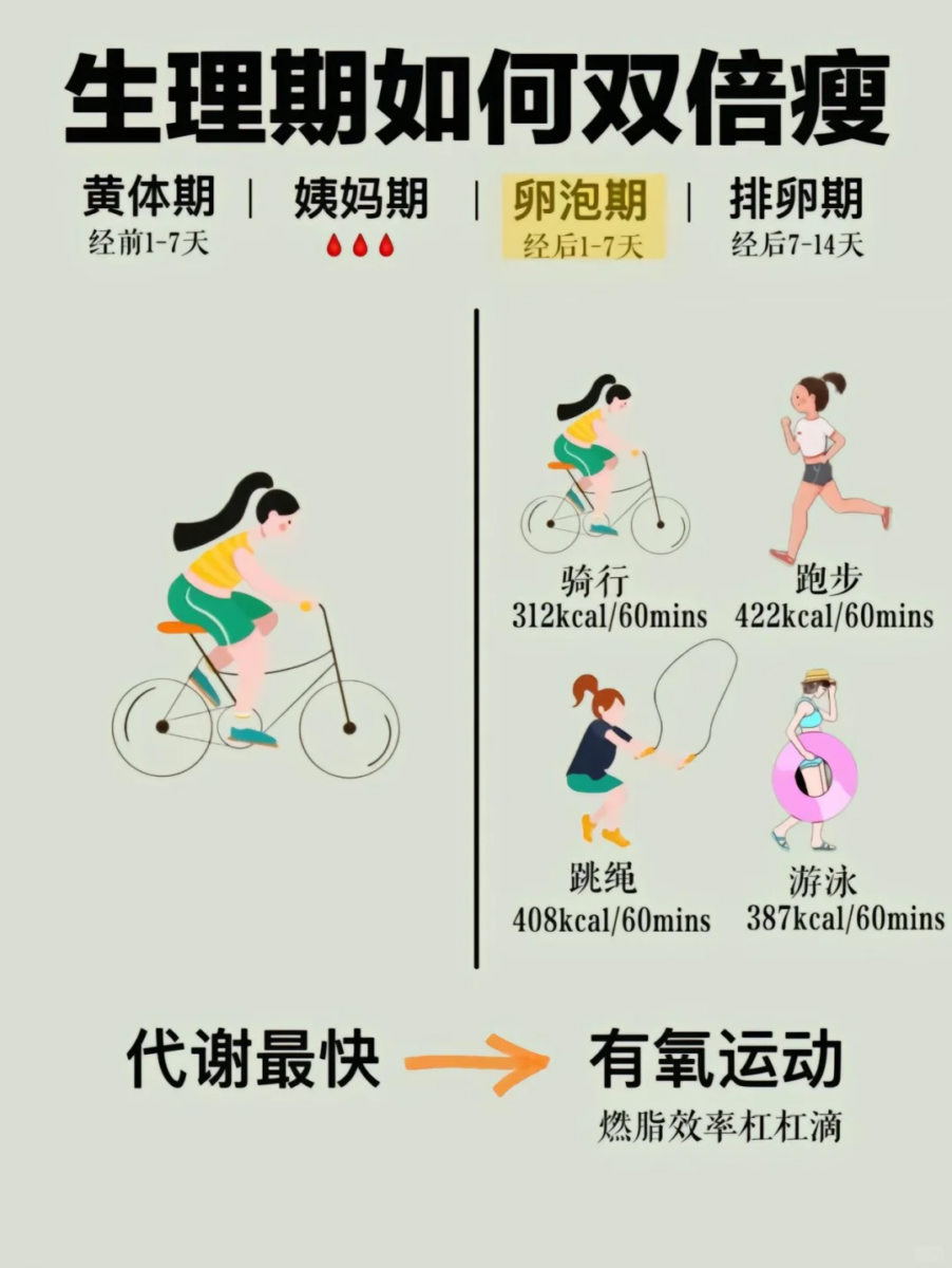 勤做有氧运动 -> 代谢能力较高