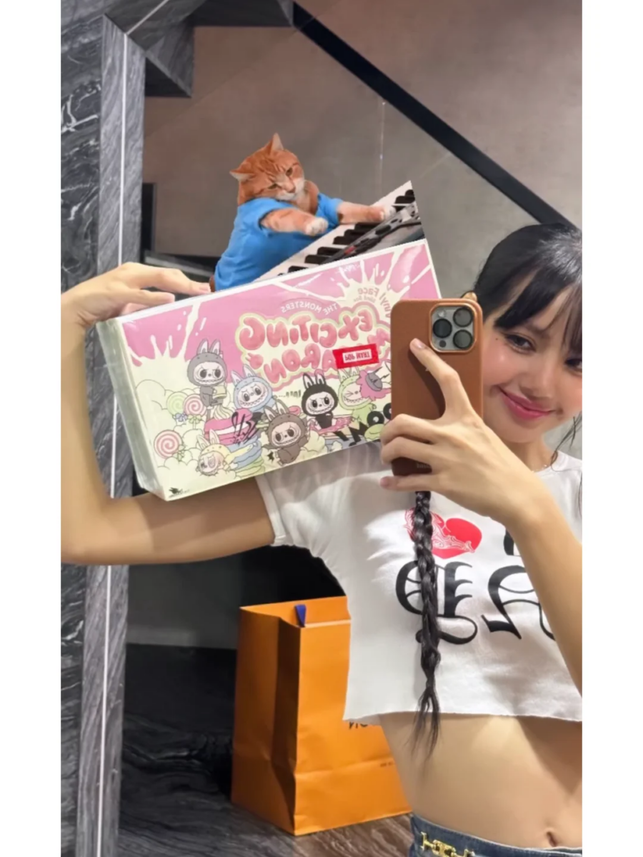 Lisa 是 Labubu 的狂热粉