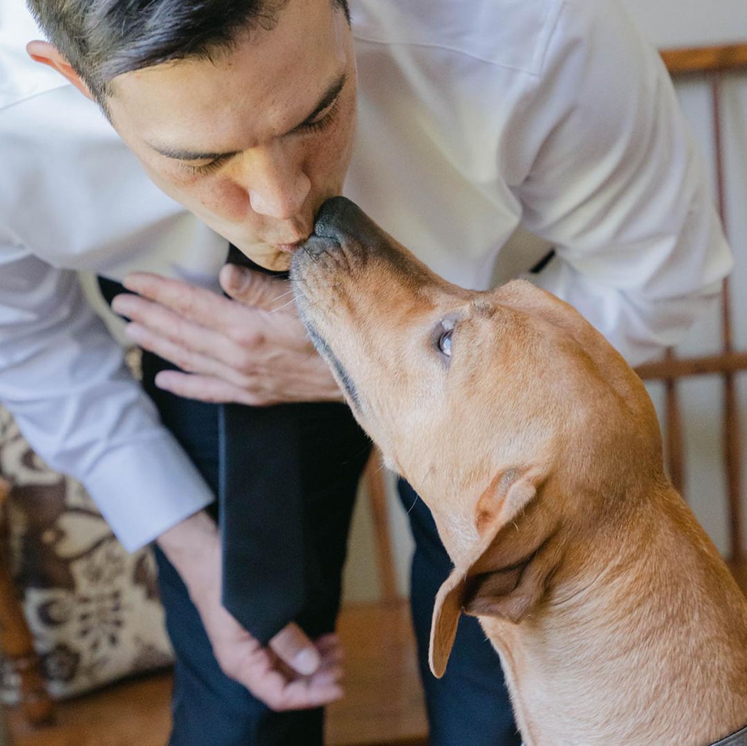 让他感谢狗狗改变了他的一生～