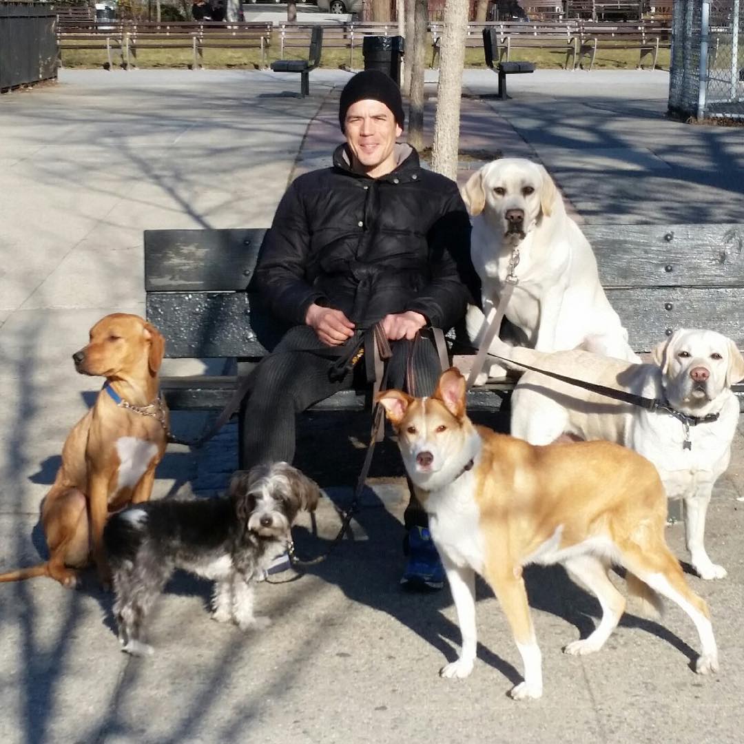 每次出门的时候可谓是相当拉风～