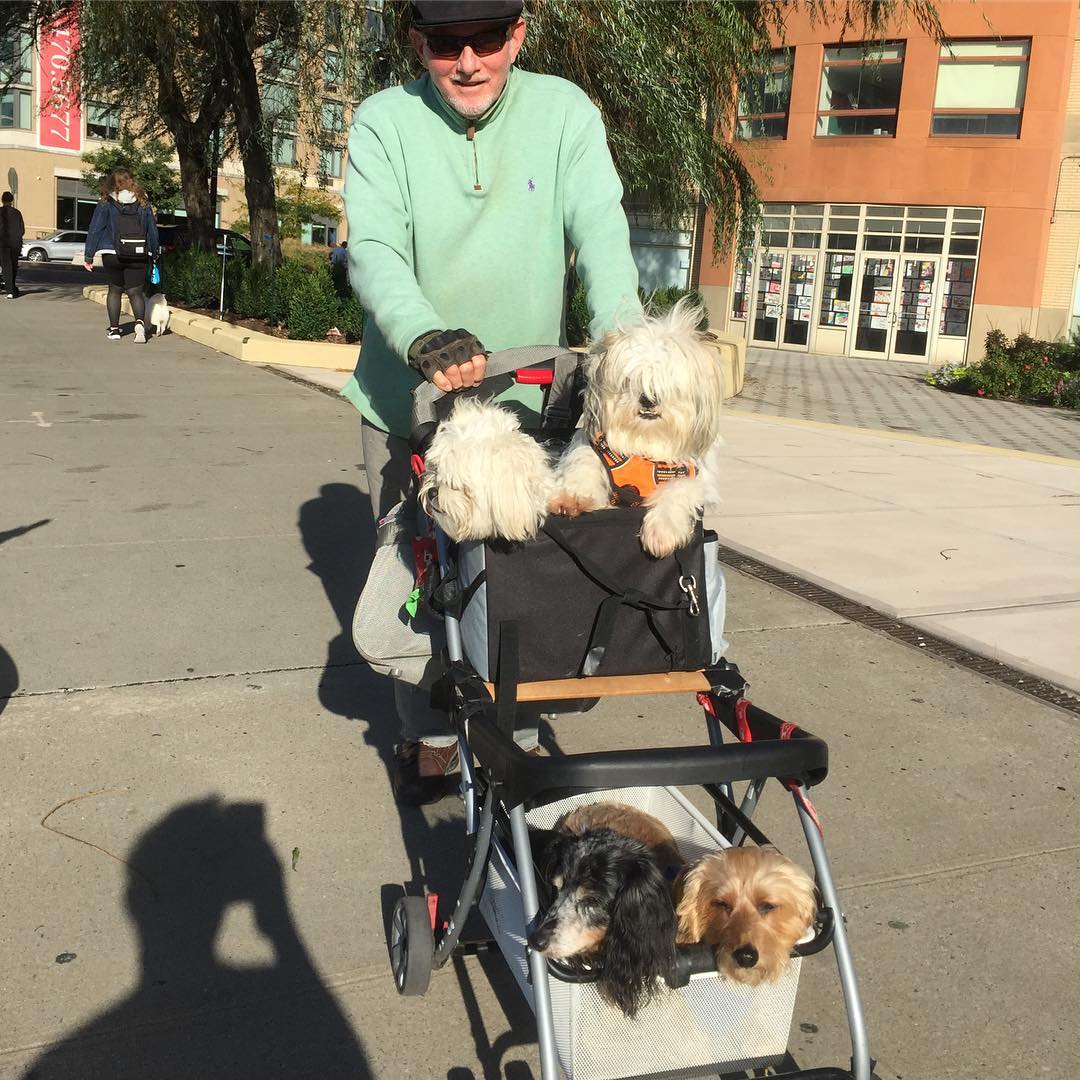 现代人花在宠物身上的钱越来越多