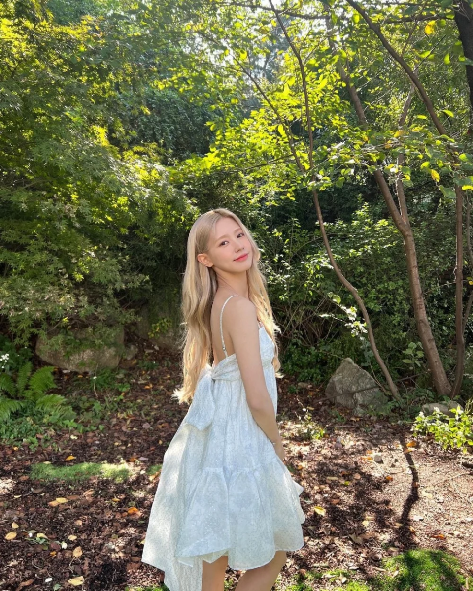 1、选择「淡色系」不出错