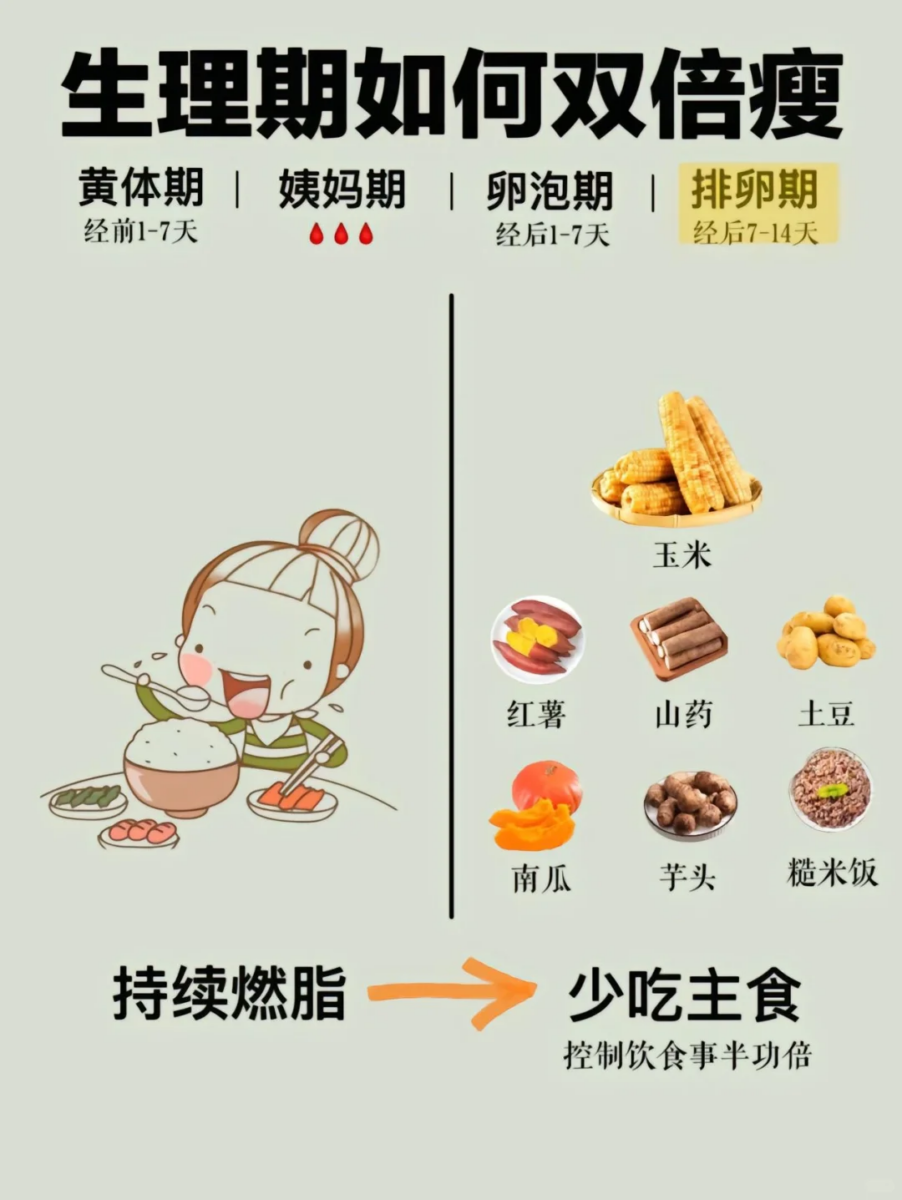 少吃主食 -> 持续燃脂