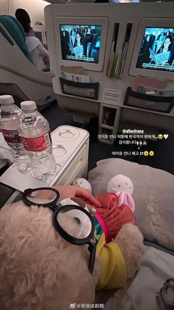 好像当IU的员工 福利太好了