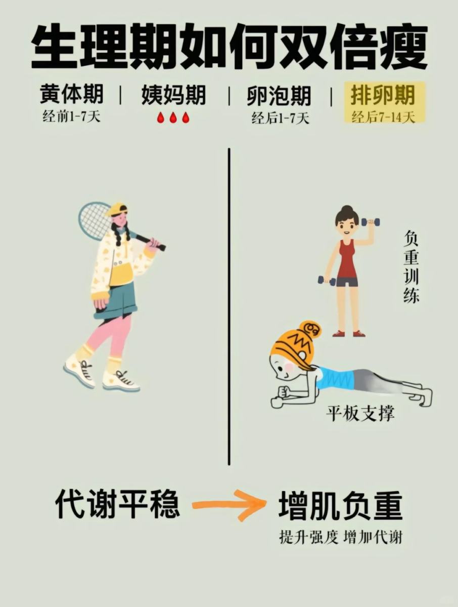 勤做力量训练 -> 增肌负重