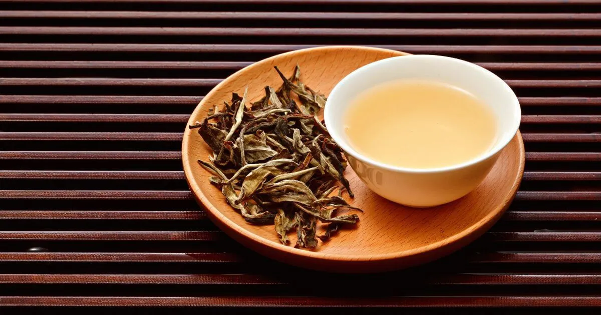 减肥茶推荐:5、白茶