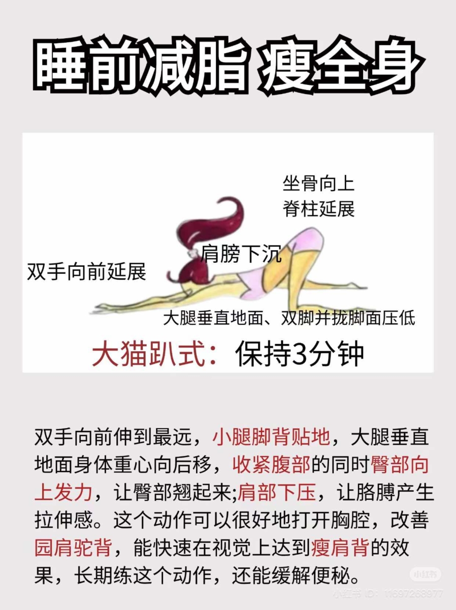 大猫趴式
