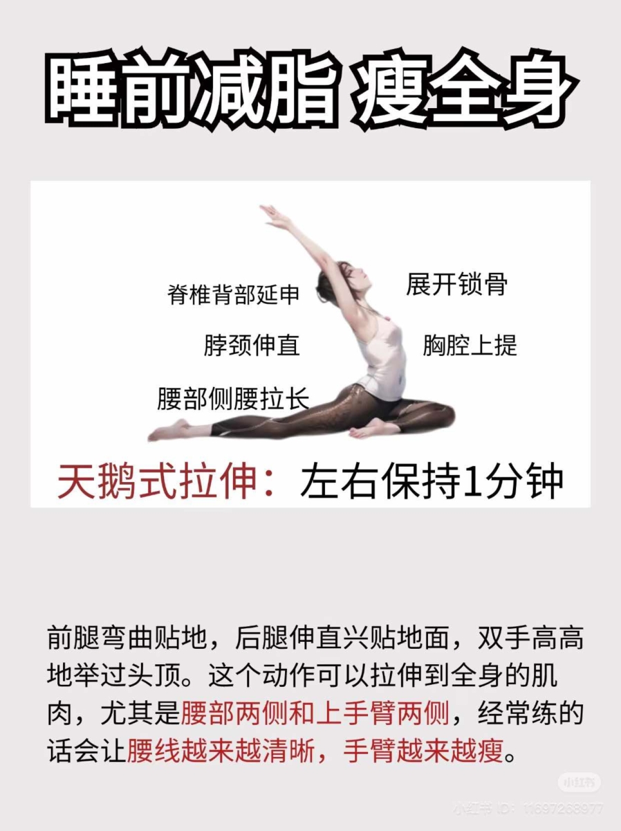 天鹅式拉伸