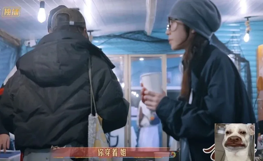 《花儿与少年》