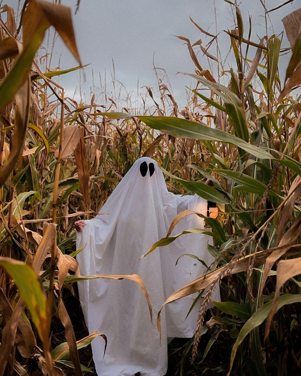 万圣节(Halloween)