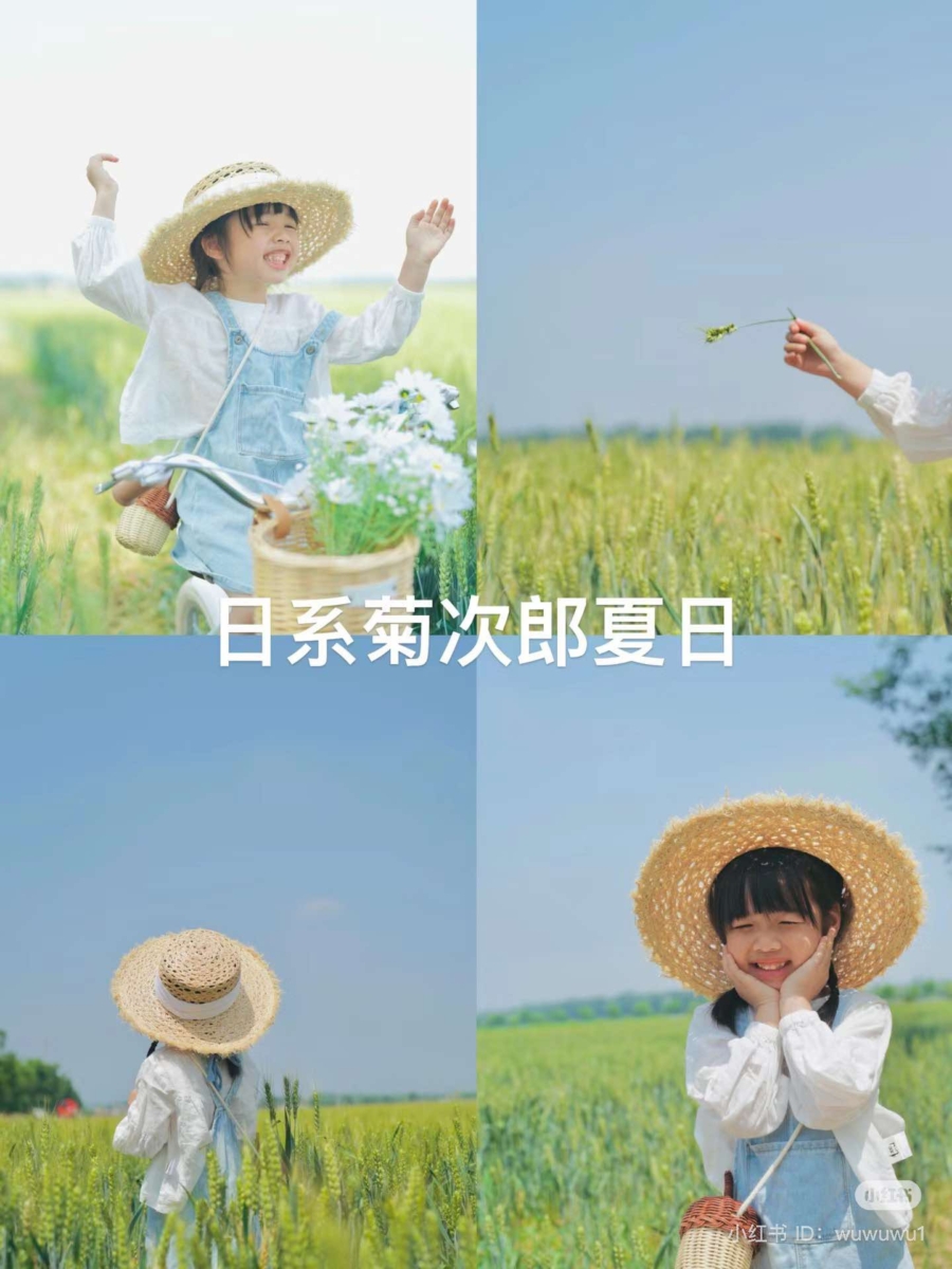 日系菊次郎夏日滤镜