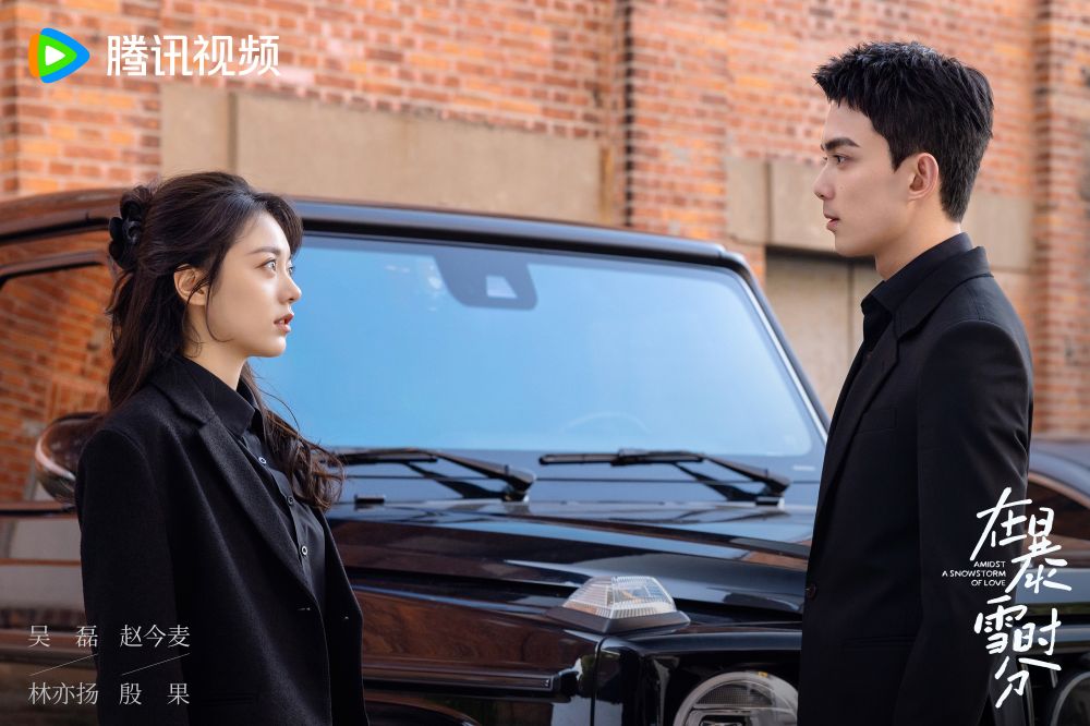 《在暴雪时分》