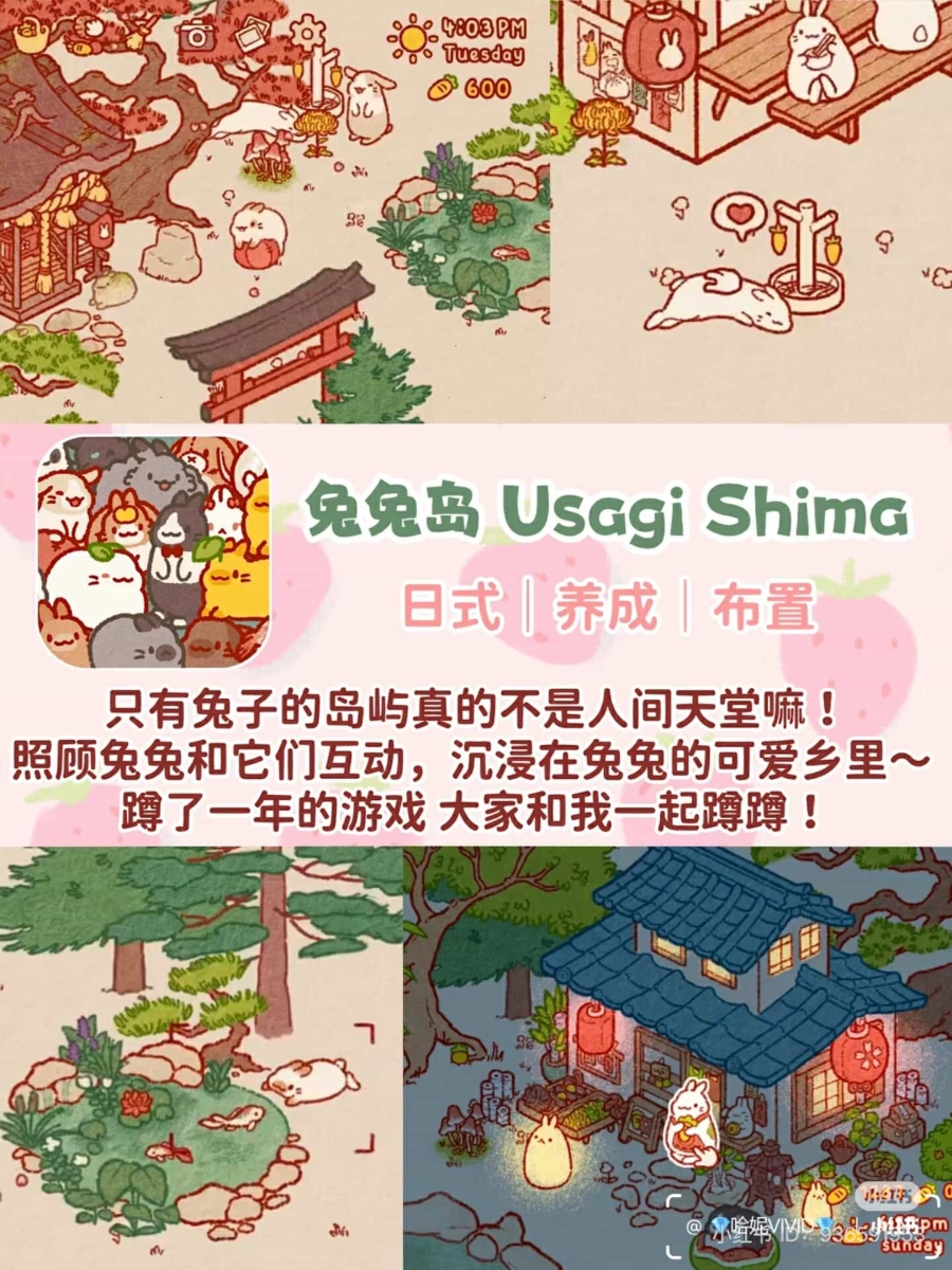 兔兔岛Usagi Shima