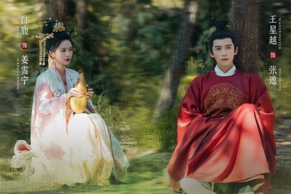白鹿+王星越