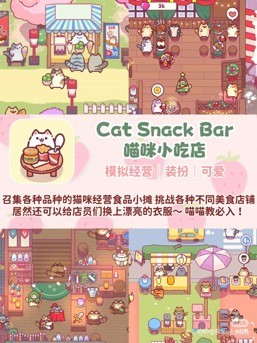 Cat Snack Bar