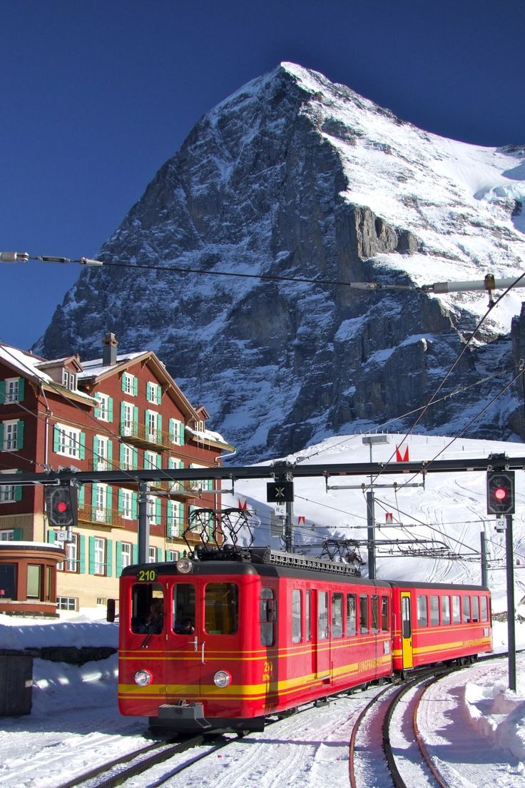 安全稳定的社会环境也吸引了众多女性前往工作和定居