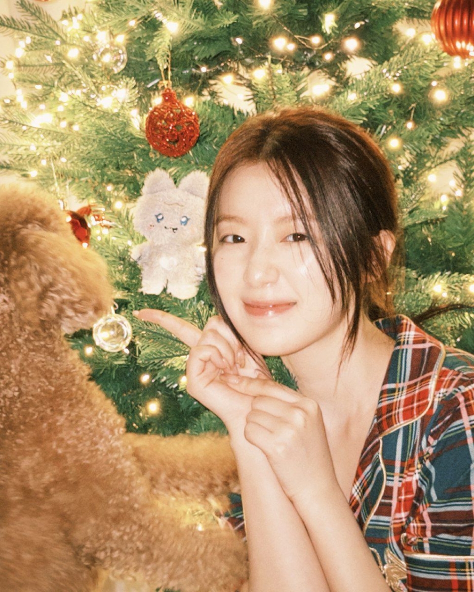 🎄圣诞节文案语录（官宣撒狗粮版）