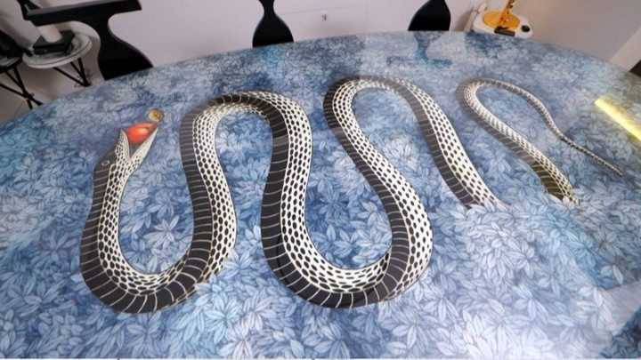 “超稀有”的餐桌