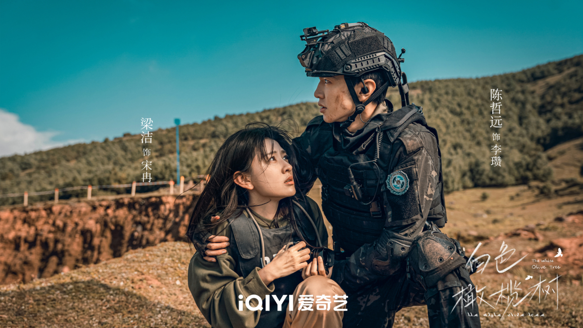 待播现偶剧五、,陈哲远、梁洁《白色橄榄树》