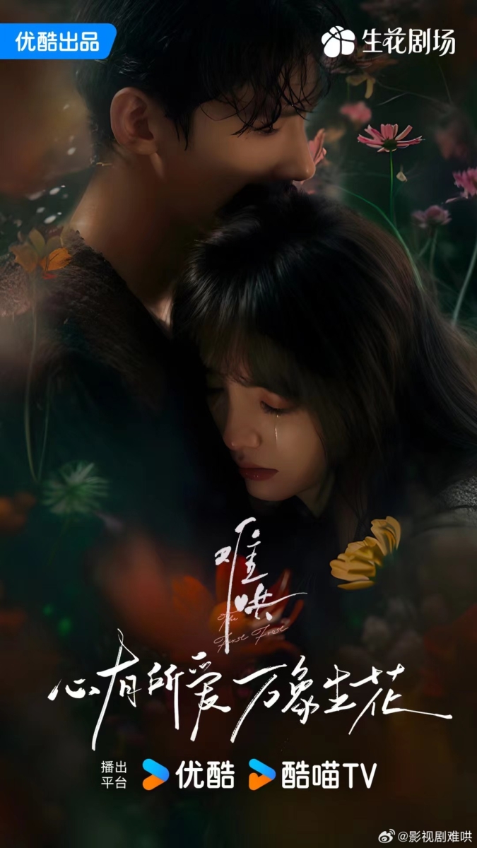 2025陆剧推荐：5、《难哄》