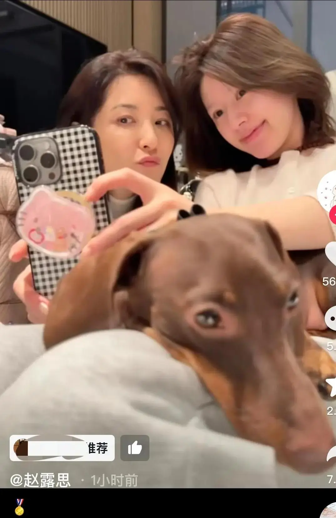 曾黎也去看望赵露思