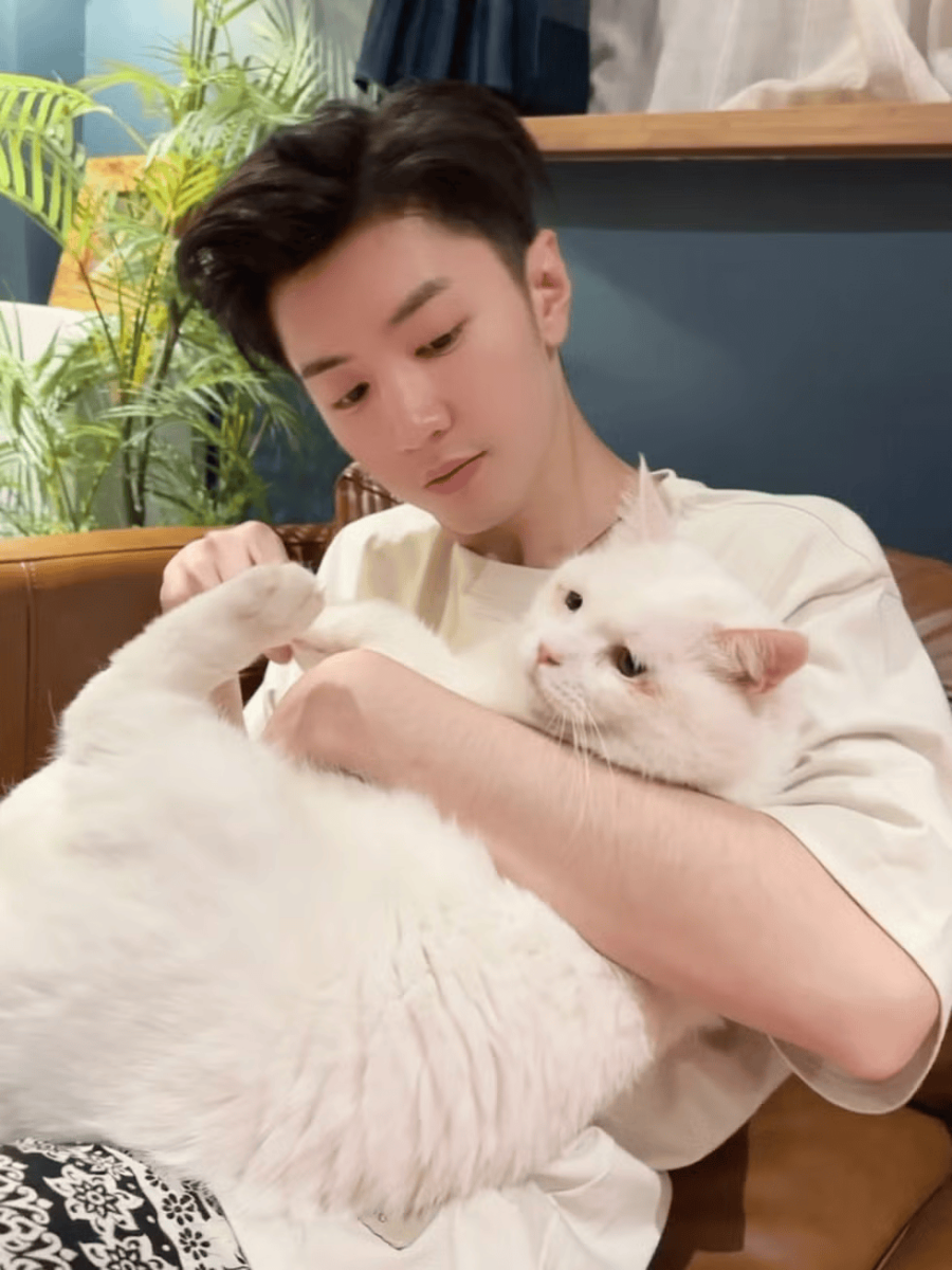 3.妥妥的猫奴