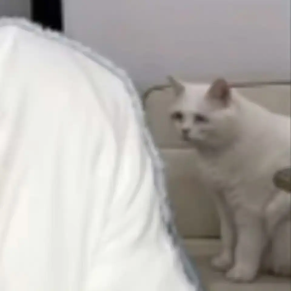 六一的表情似乎相当无奈
