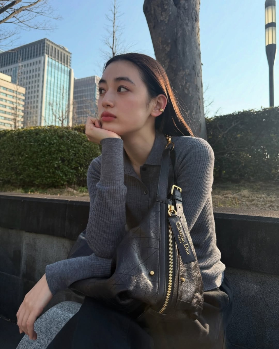DIOR新款包包:1、D-Journey
