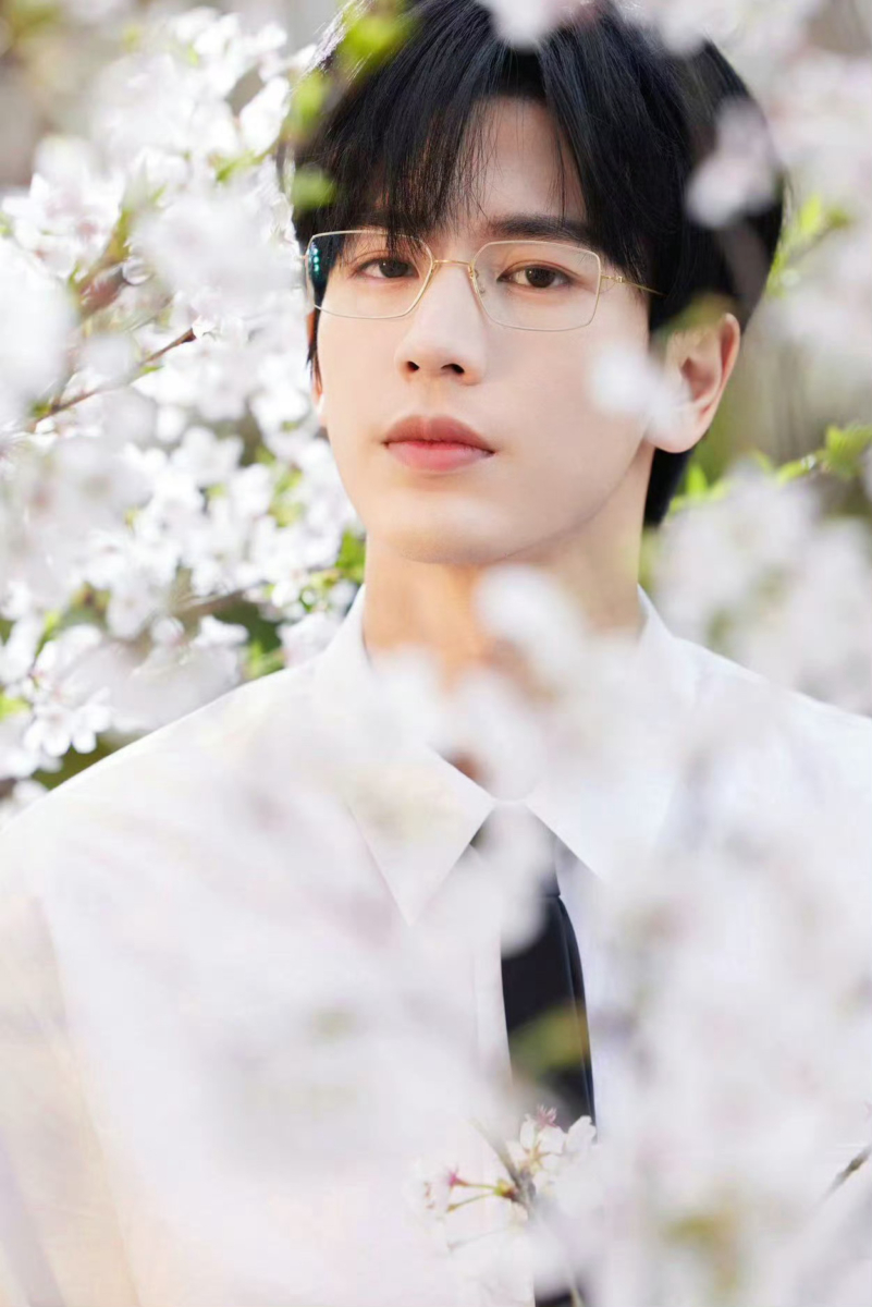 2、张凌赫 |《爱你》何苏叶