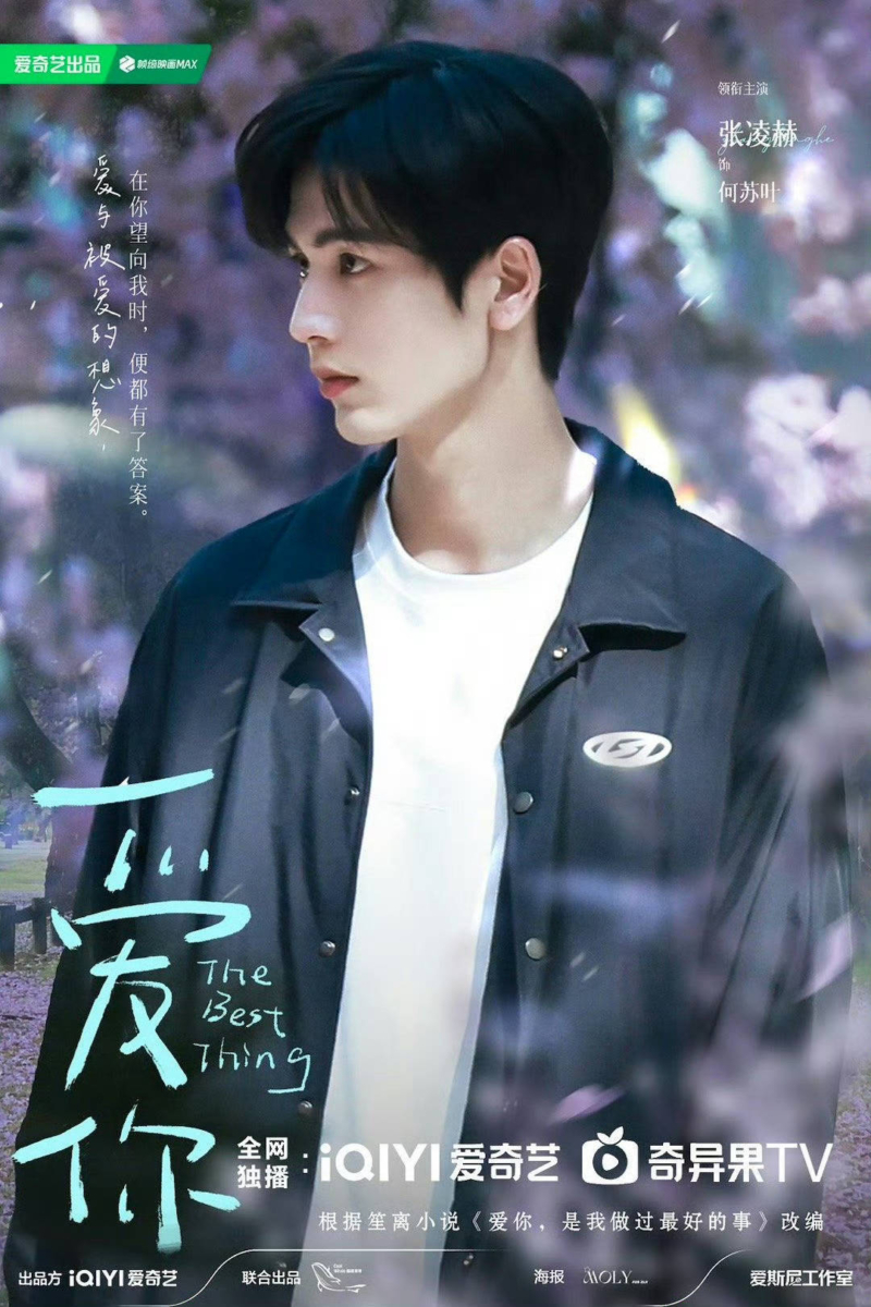 2、张凌赫 |《爱你》何苏叶
