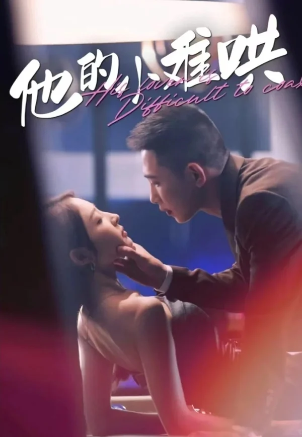 《他的小难哄》