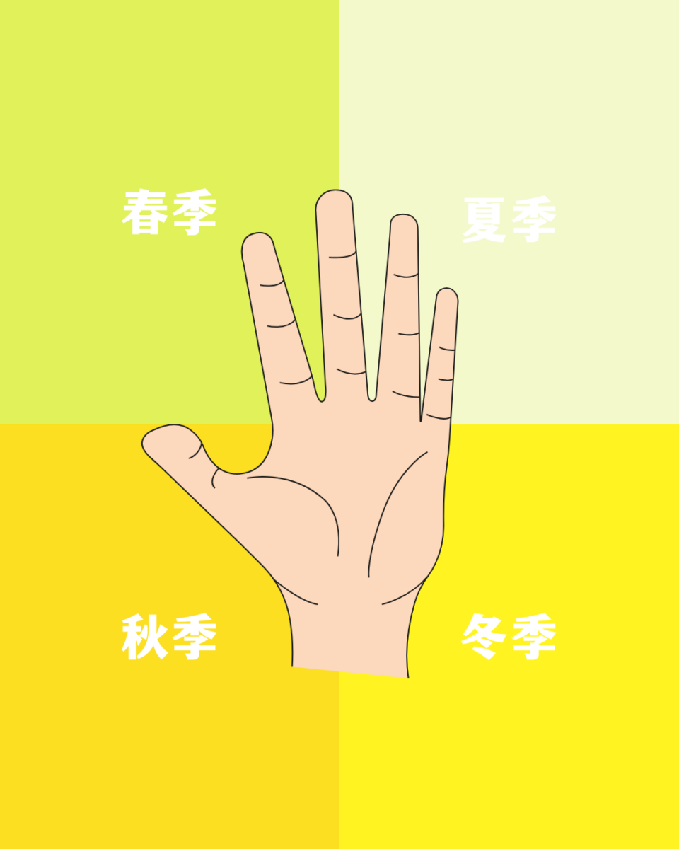 四季型色彩测试