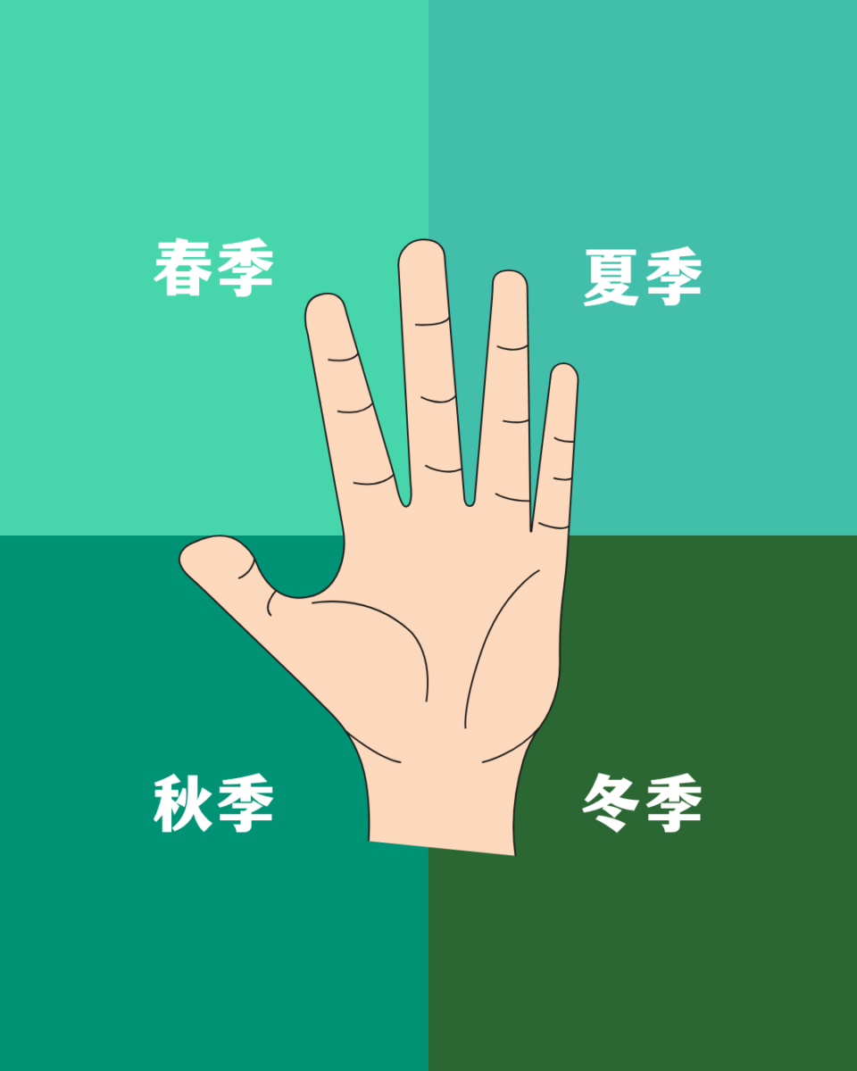 四季型色彩测试