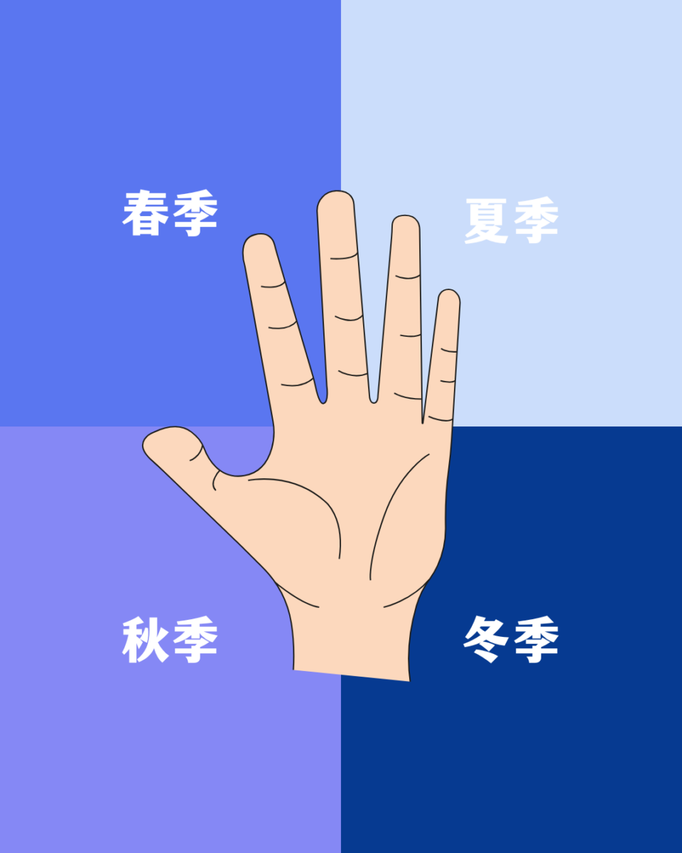 四季型色彩测试