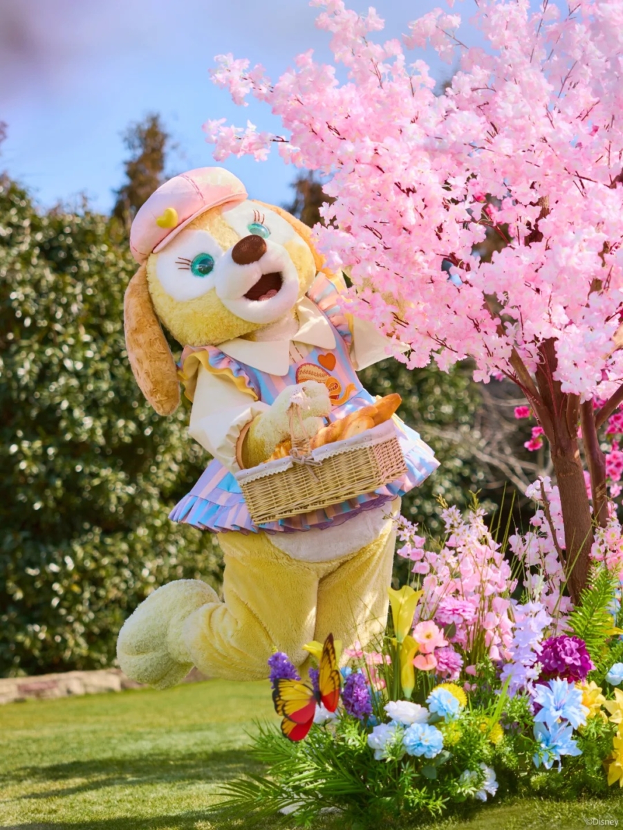 可琦安（CookieAnn）