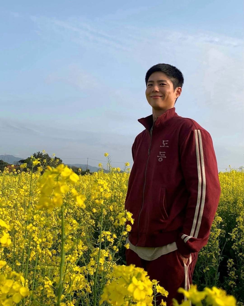 《苦尽柑来遇见你》